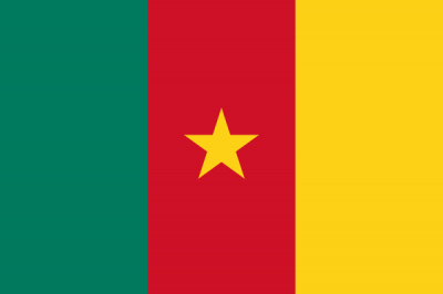 Flag of Cameroon